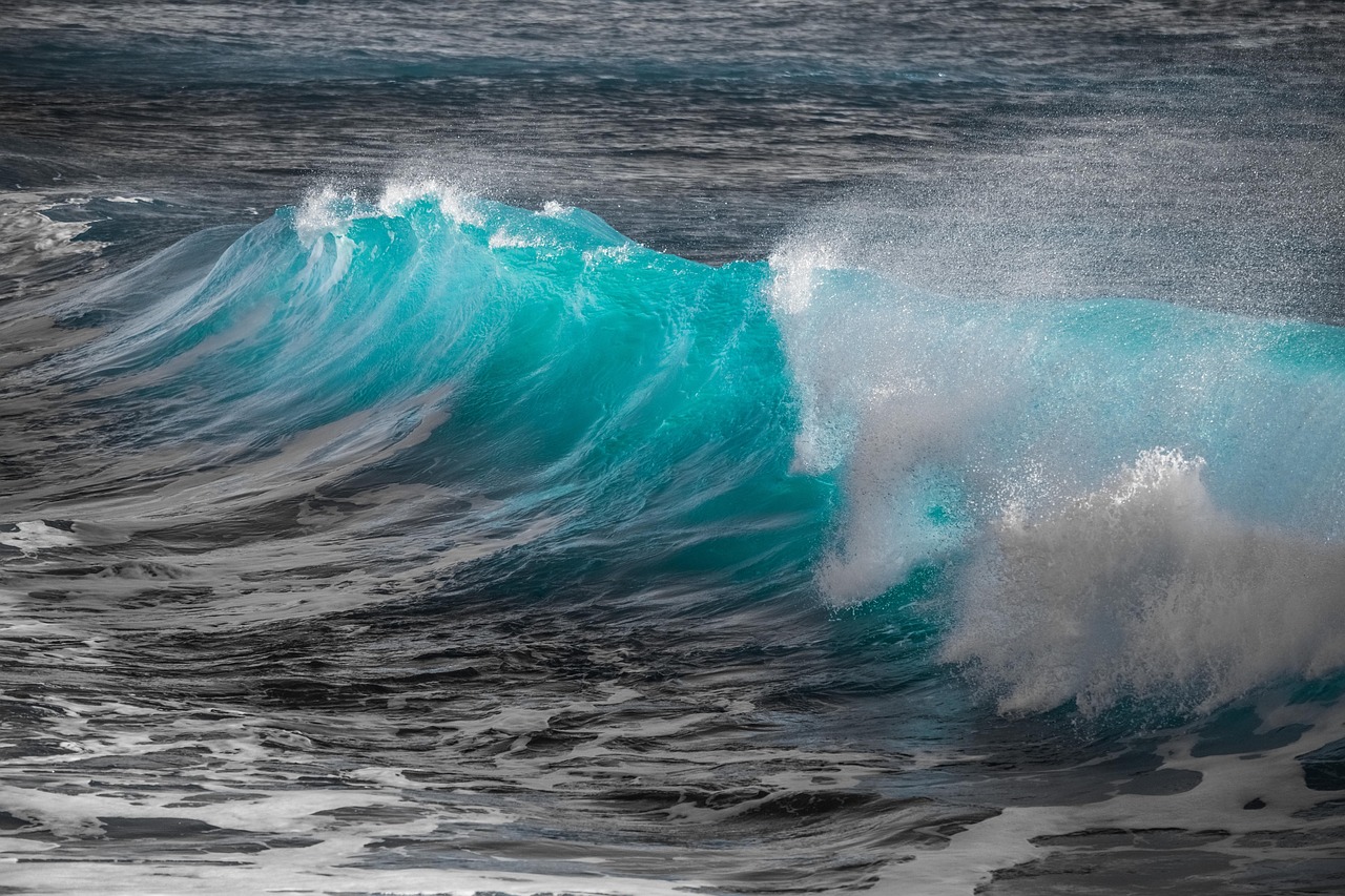 entdecken sie die welt des surfens – von den besten surfspots und -tipps bis zu ausrüstungsratgebern. alles, was sie über surfen wissen müssen, finden sie hier!