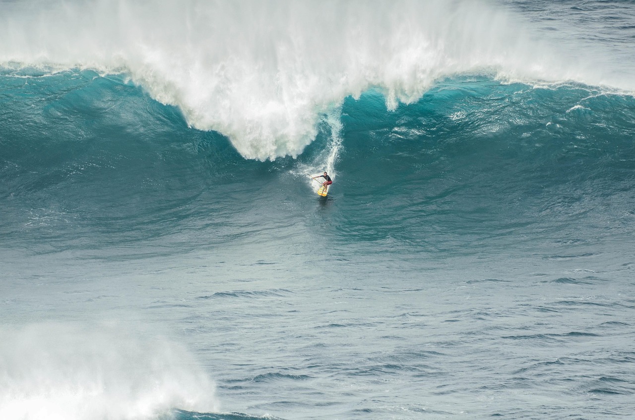entdecken sie die inspirierende welt der frauen im surfen: geschichten, erfolge und herausforderungen weiblicher surferinnen auf ihrem weg an die spitze der wellen.
