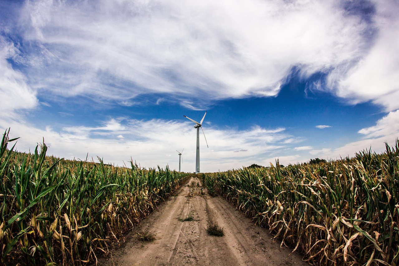 erfahren sie alles über energy harvesting: innovative technologien zur energiegewinnung aus umweltquellen wie sonnenlicht, vibrationen und wärme. nachhaltige lösungen für iot, sensorik und mobile geräte.